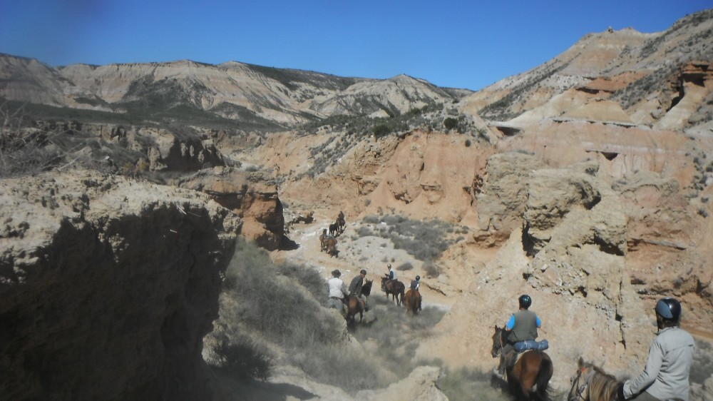 Bardenas Reales