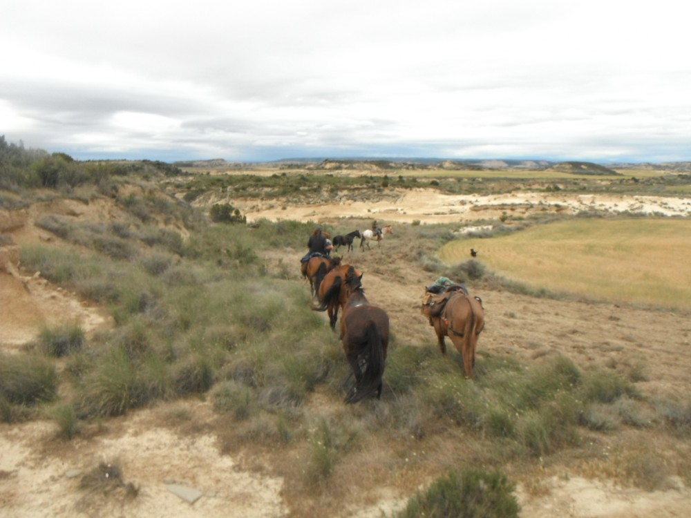 Bardenas Reales