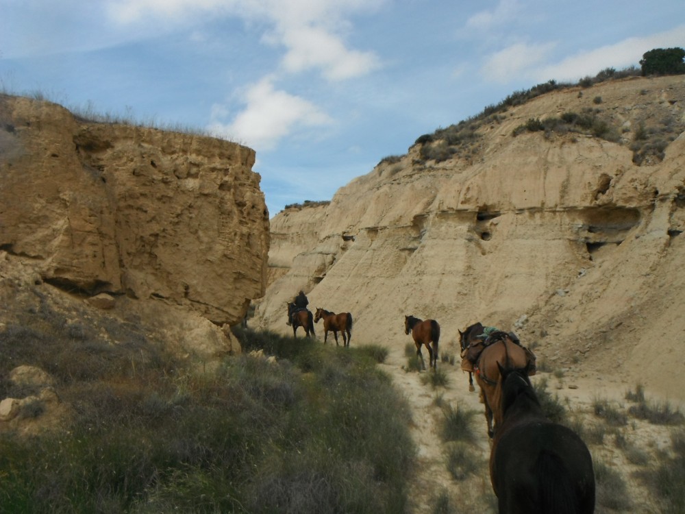 Bardenas Reales