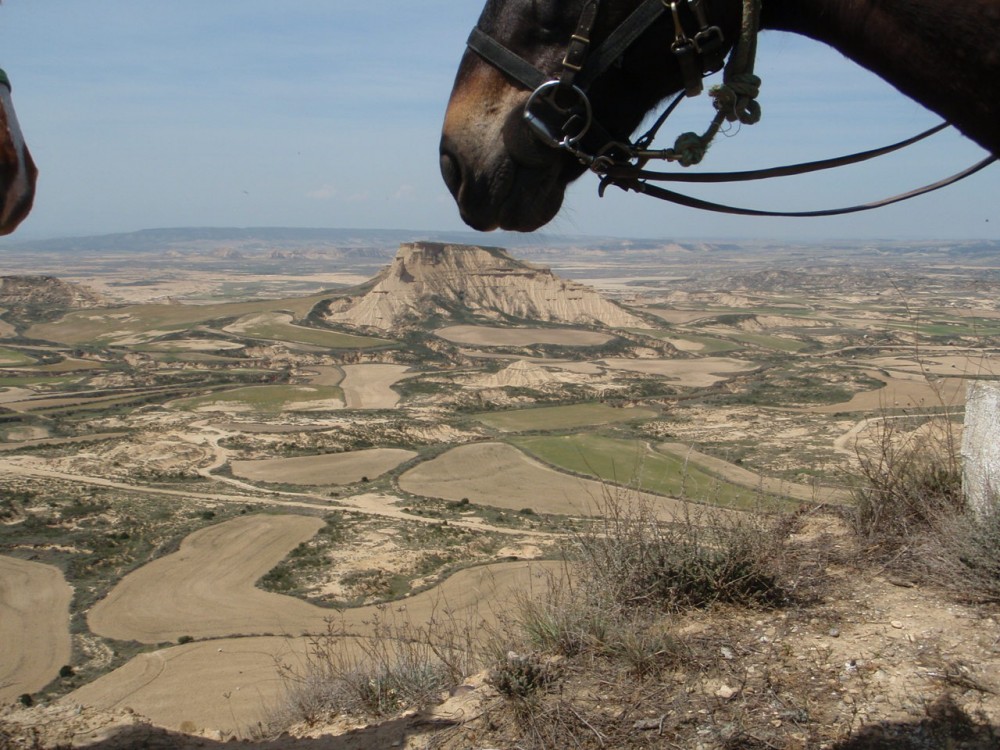 Goûter ou sentir les Bardenas